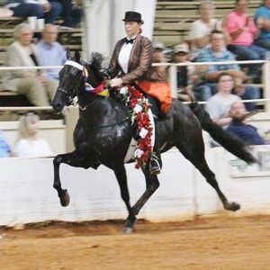 Meet your Posher, Sue